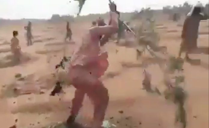 Mennesker river opp trær. Skjermdump fra Twitter