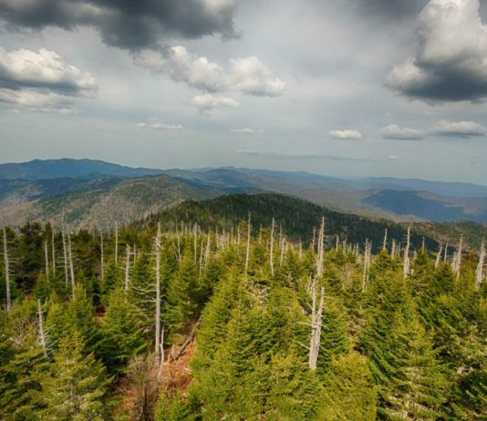 Slutt på sur nedbør: Verdens luft er mer svovelfri