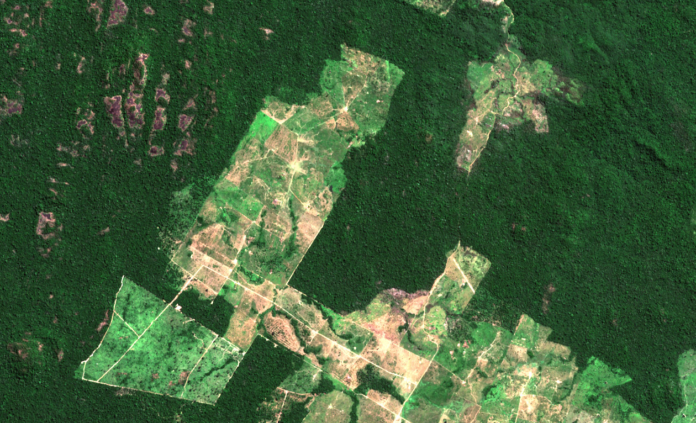 Flyfoto av avskoging i Amazonas.