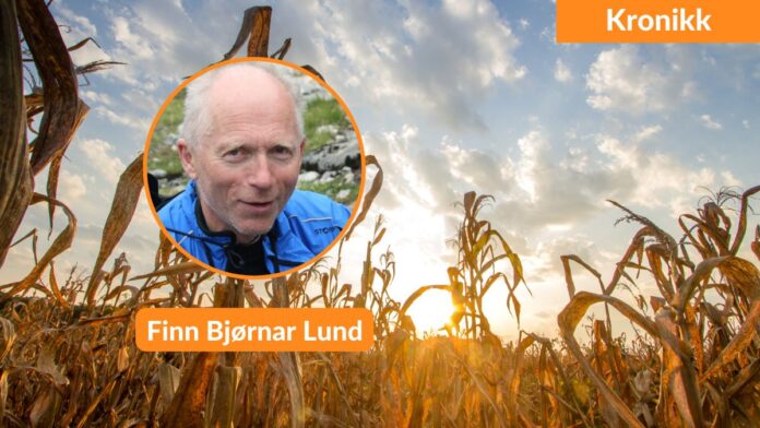 Finn Bjørnar Lund, kronikk