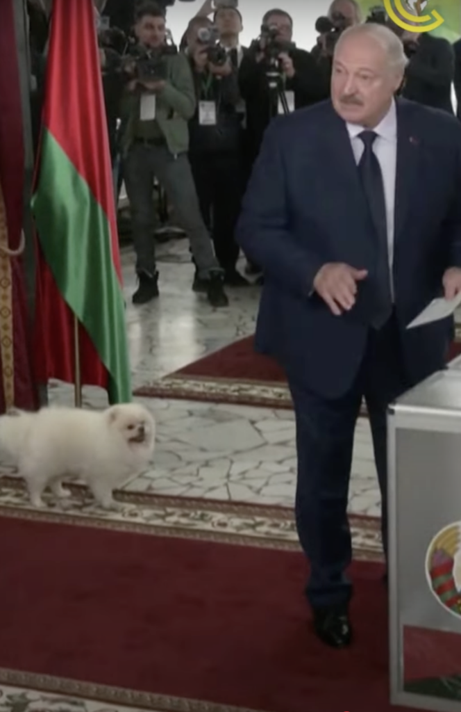 Lukasjenko stemmer 26. januarHunden Umka skal ha stjålet showet da den tisset på gulvet mens diktatoren stemte. FOTO: Youtube (skjermdump)