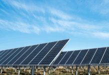 Rapport: Fornybar forbigår kull som største strømkilde