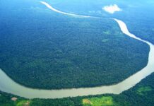 Brasil og Norge skal leie nytt regnskogsfond. Modell: Oljefondet