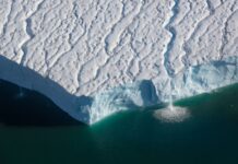 Isbreene på Svalbard minker: “Polarområdene er verdens varsellampe, og nå lyser den rødt”