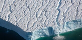 Isbreene på Svalbard minker: “Polarområdene er verdens varsellampe, og nå lyser den rødt”