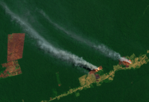 Tåler Amazonas en omkamp?